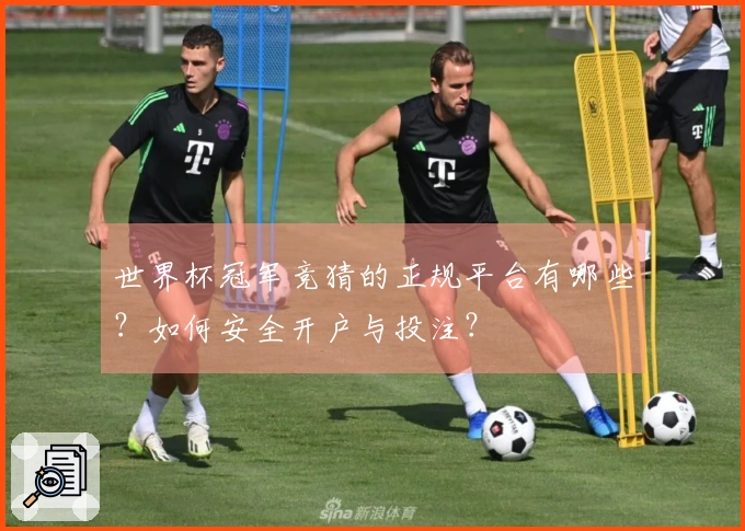 世界杯冠军竞猜的正规平台有哪些?如何安全开户与投注?