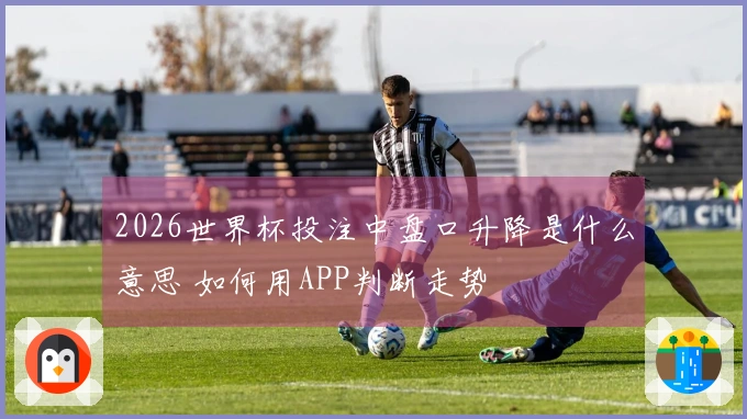 2026世界杯投注中盘口升降是什么意思 如何用APP判断走势