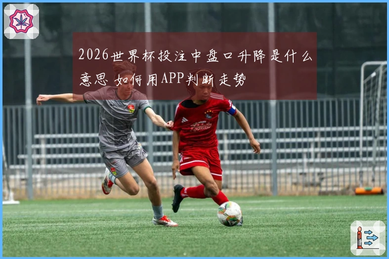 2026世界杯投注中盘口升降是什么意思 如何用APP判断走势