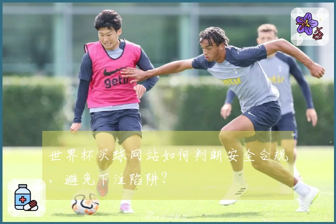 世界杯买球网站如何判断安全合规，避免下注陷阱？